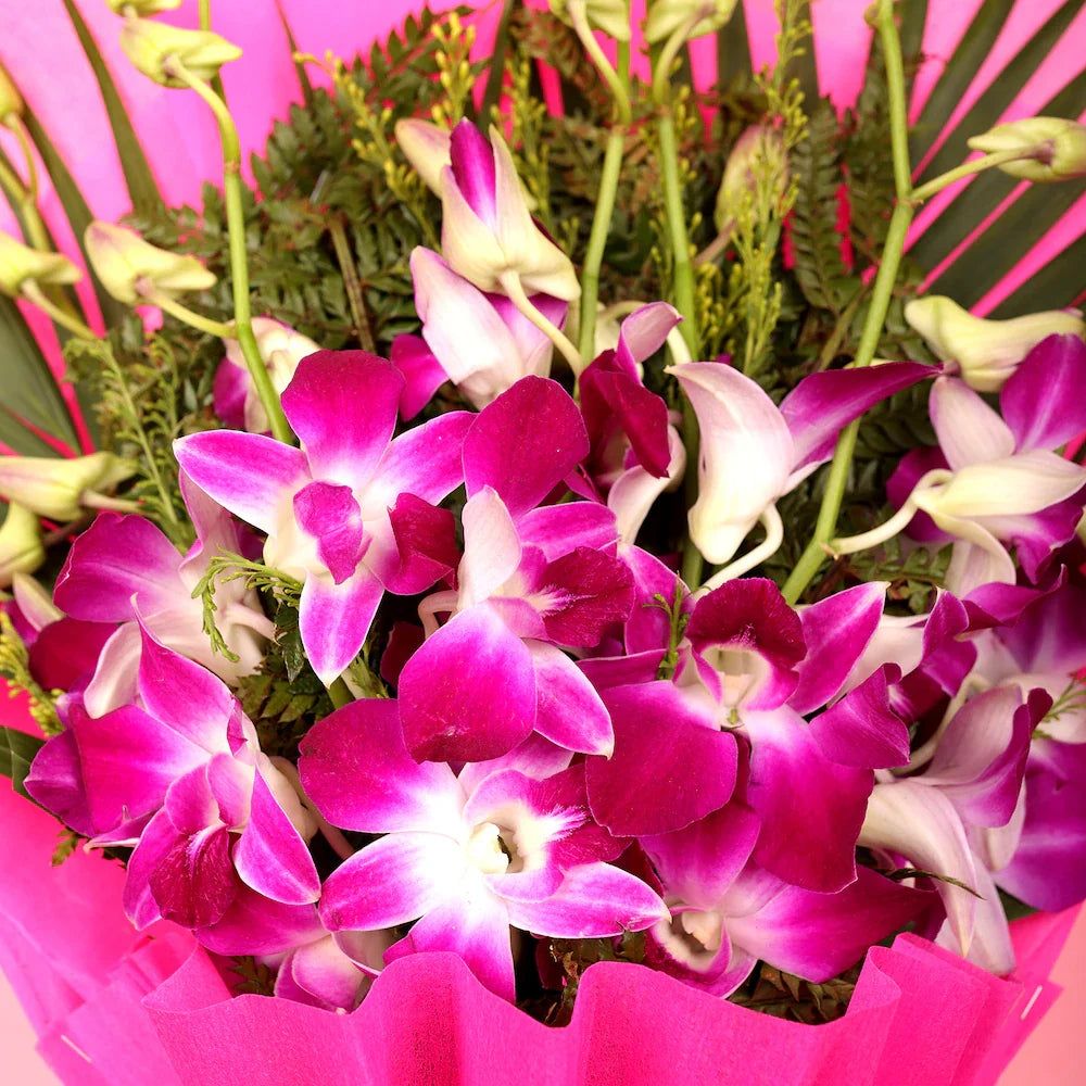 Pink Orchid Flower Seeds for Planting