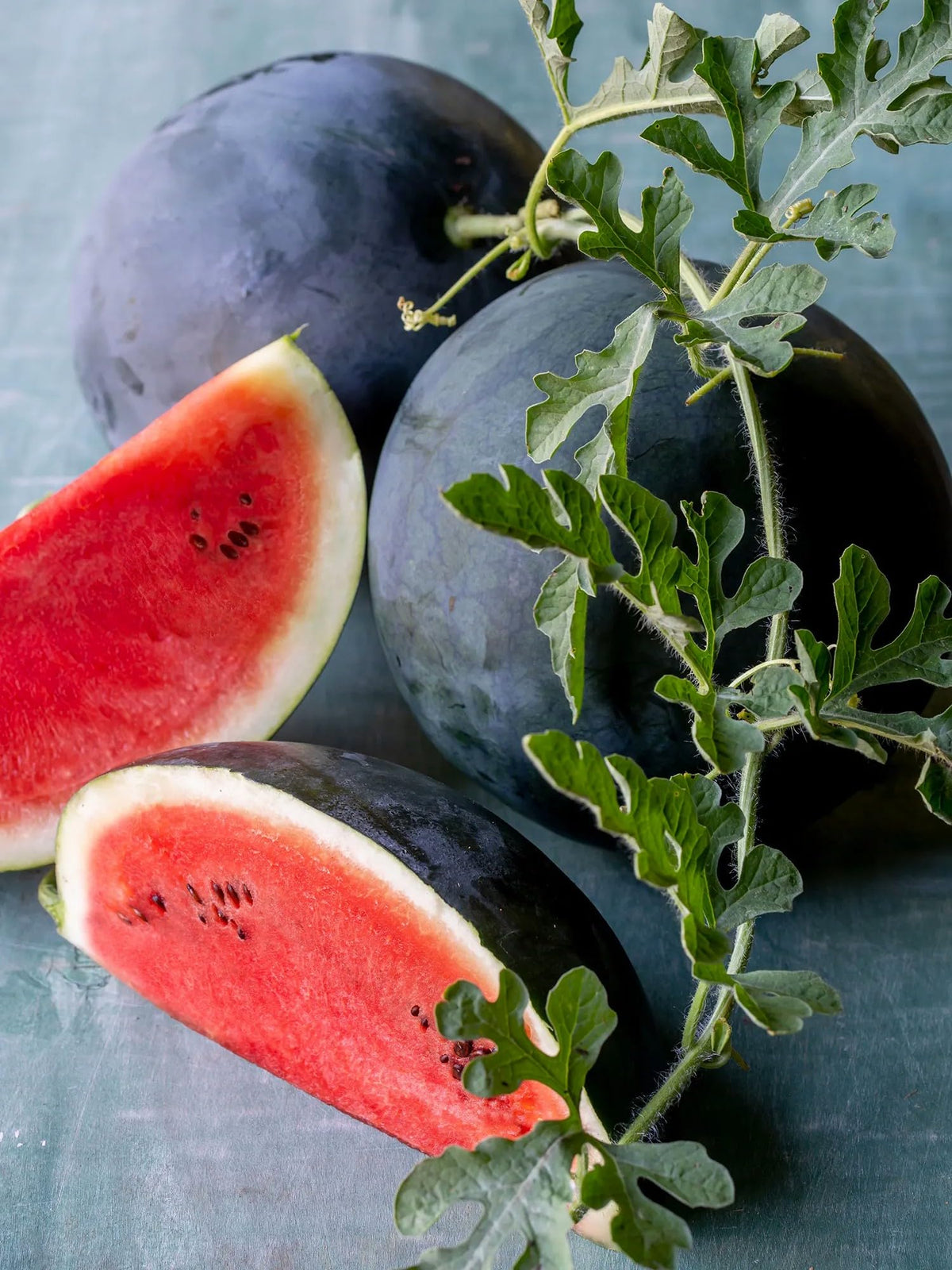 Watermelon Seeds - Sugar Baby Bush