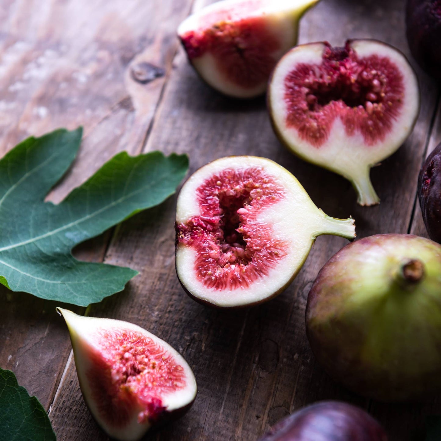 Fig Fruits Seeds for Planting - Grow Delicious Homegrown Figs