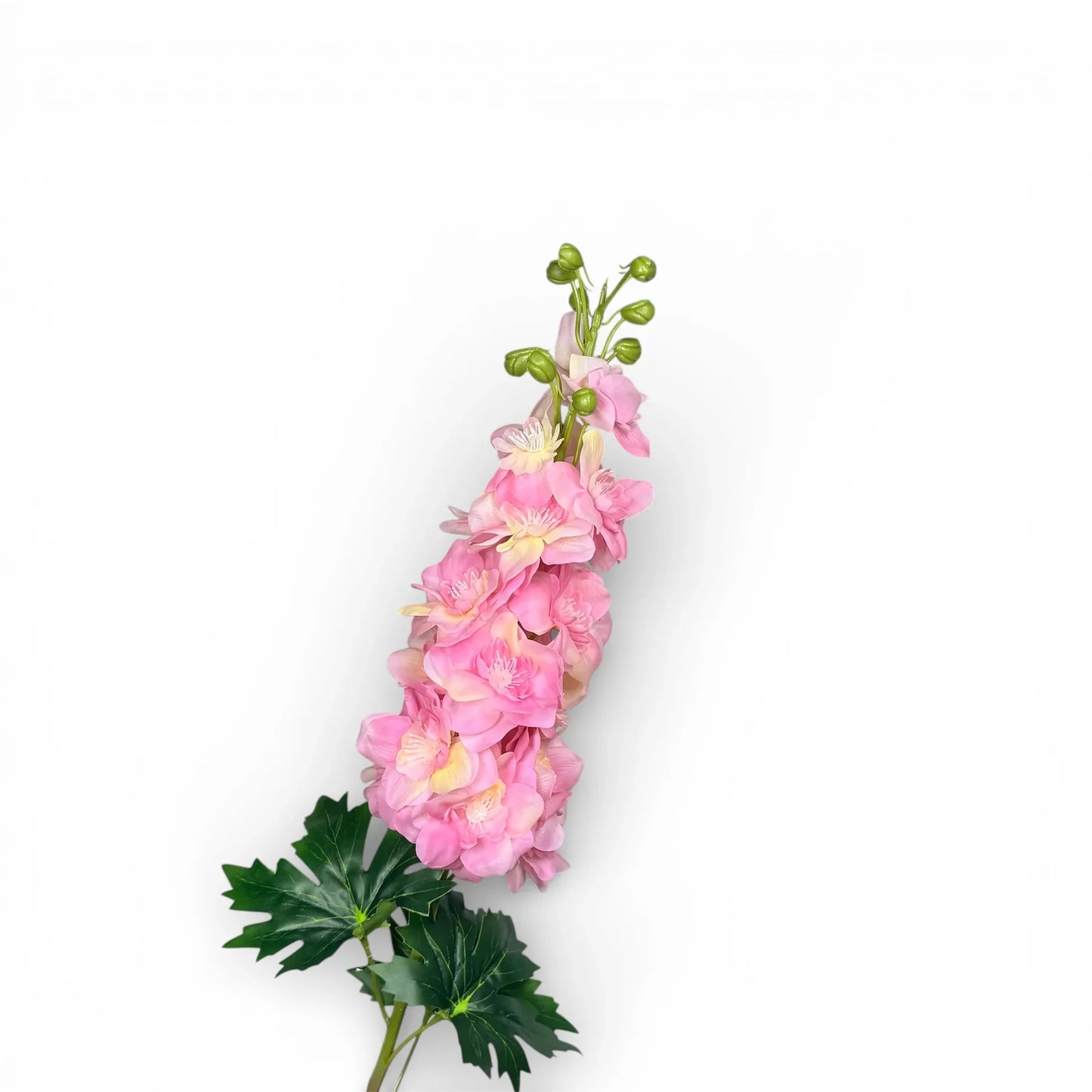 Delphinium Flower seeds for Planting - Cottage Garden Essential, Heirloom & GMO Free Seeds for Home Garden