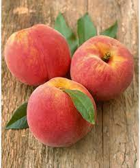 Flowering peach tree seeds pink blossoms ornamental fruit tree