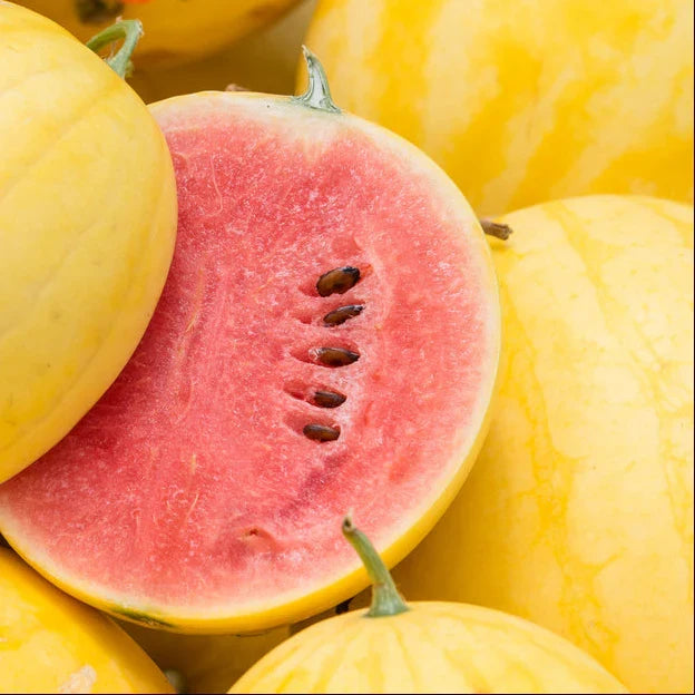 Watermelon Seeds - Golden Midget