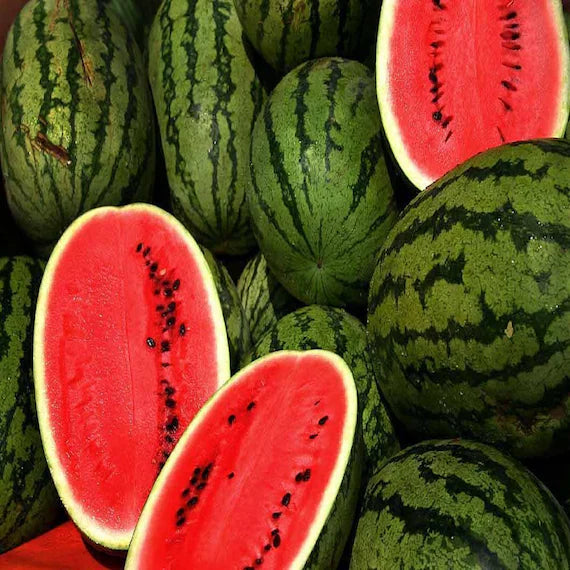 Watermelon Seeds - Mini Love