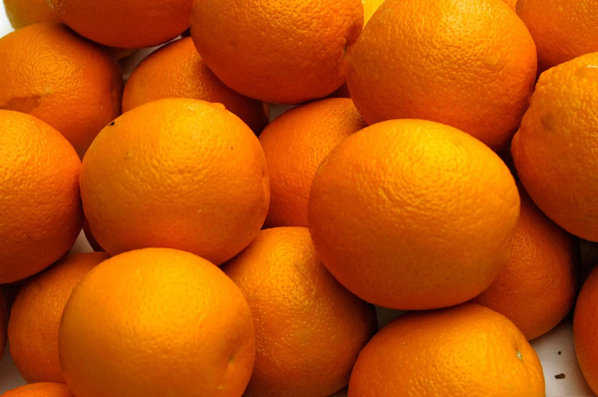 Step-by-Step Guide for Planting Orange Fruit Seeds in Your Garden