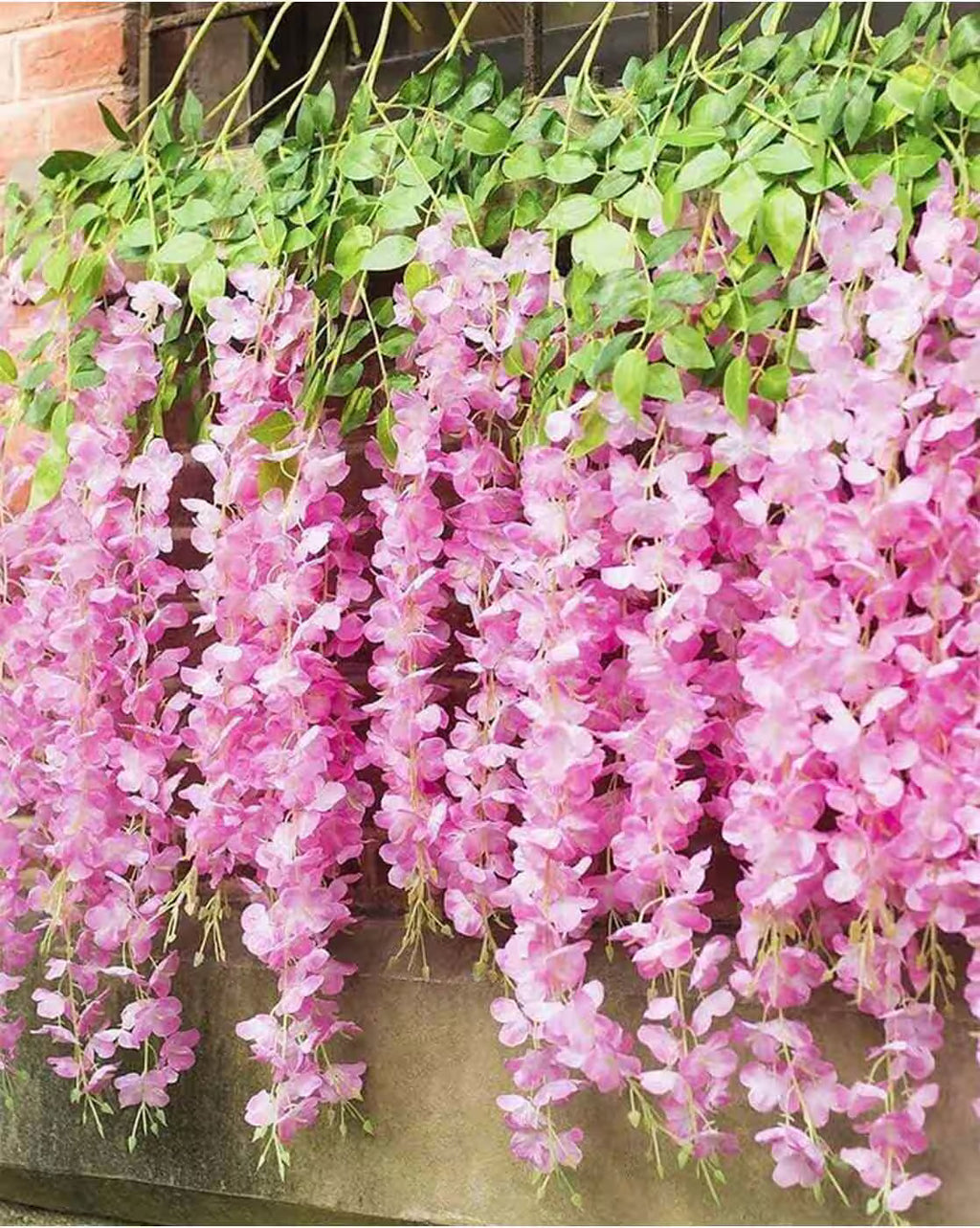 Pink Wisteria Flower seeds for Planting Bright Blooms, Heirloom & GMO Free Seeds for Home Garden vegetable and garden seeds