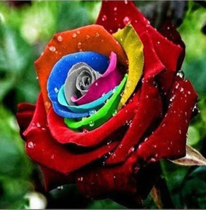 Semillas De Rosas Flower seeds for Planting Wildflower Mix Heirloom & GMO Free Seeds for Home Garden