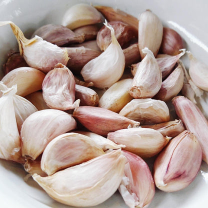 Planting Clove Garlic Seeds For Flavorful Spice Flower