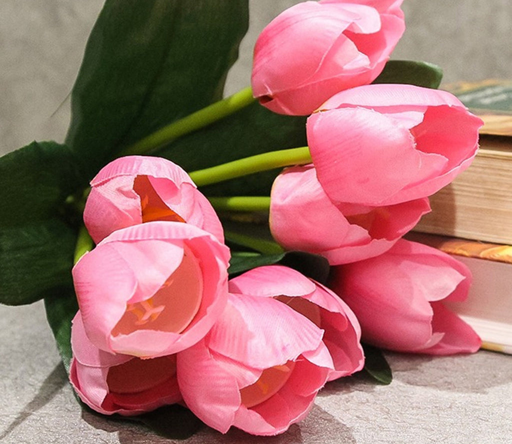 Tulip Flower seeds for Planting Premium Quality, Heirloom & GMO Free Seeds for Home Garden vegetable and garden seeds