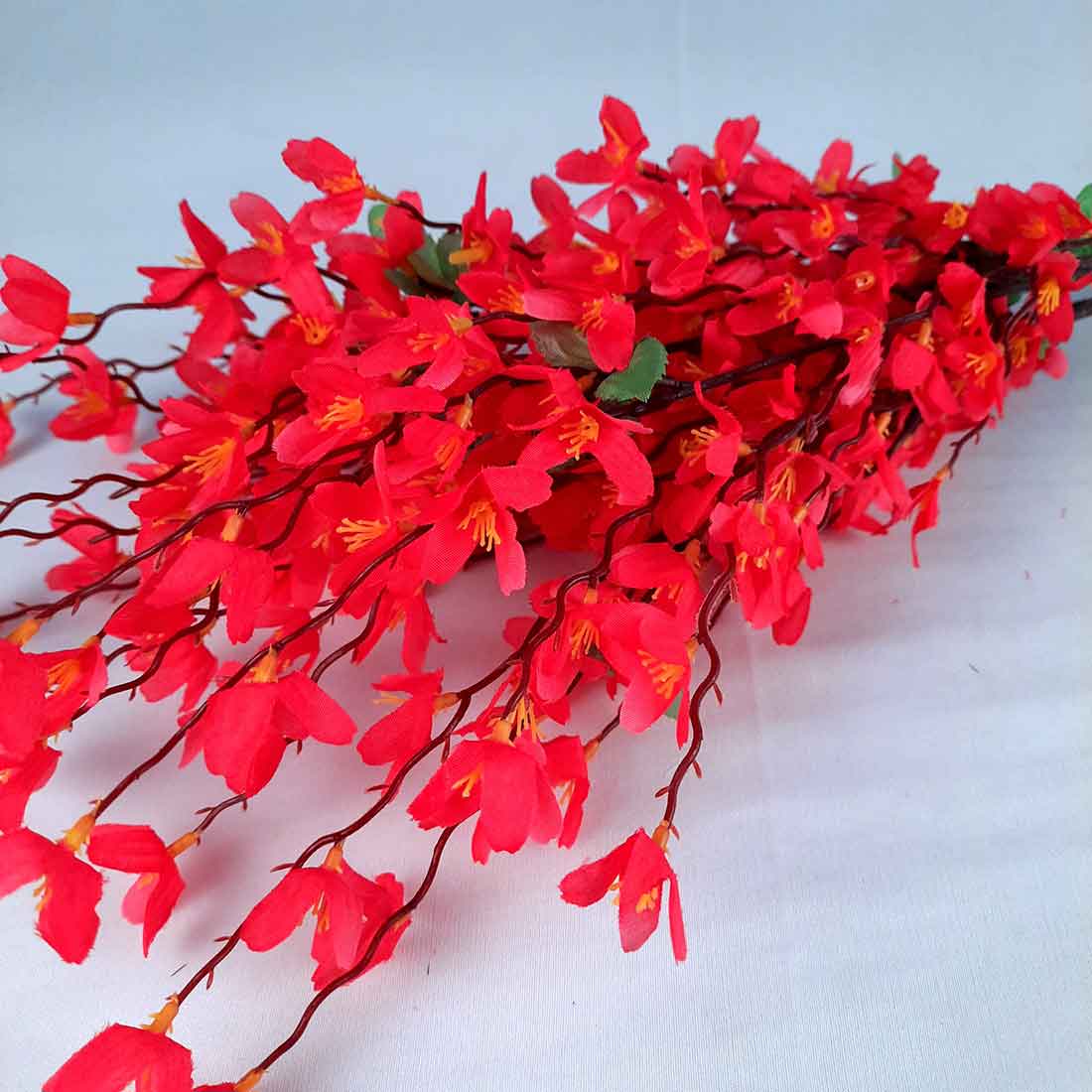 Premium Red Weeping Forsythia Flower seeds for Planting Colorful Display, Heirloom & GMO Free Seeds for Home Garden seeds