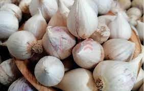 Planting Clove Garlic Seeds For Flavorful Spice Flower
