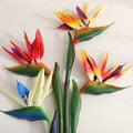 Mixed Strelitzia Flower seeds for Planting Drought Tolerant, Heirloom & GMO Free Seeds for Home Garden seeds for planting