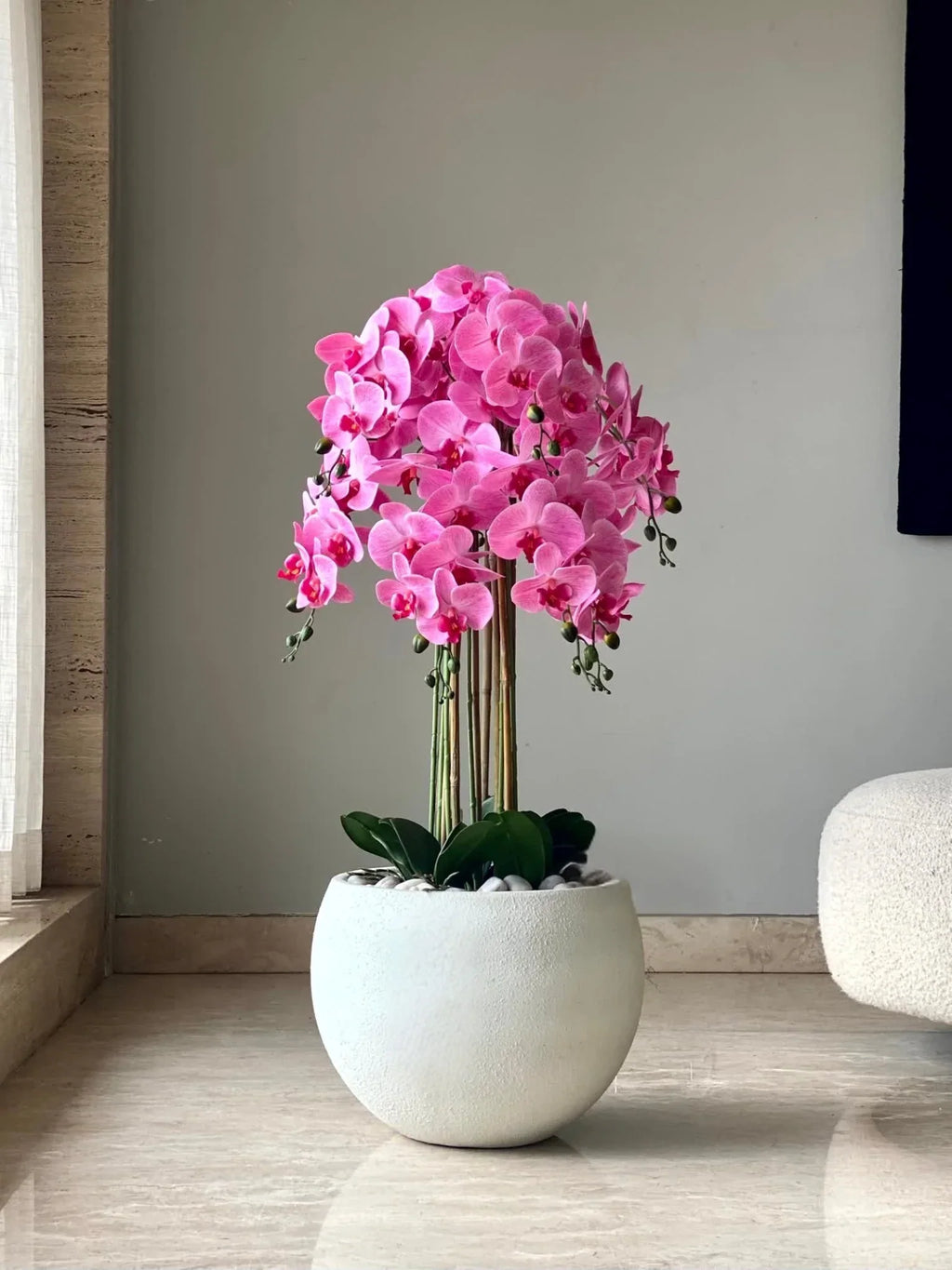 High quality Lavender Dendrobium Flower seeds for Planting Low Maintenance, Heirloom & GMO Free Seeds for Home Garden seeds pack