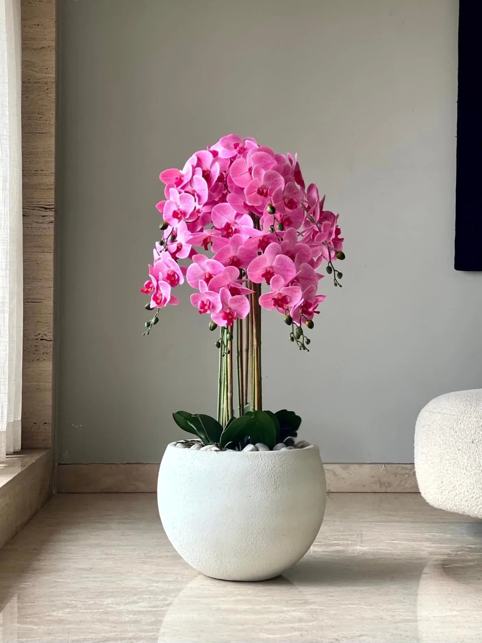 High quality Lavender Dendrobium Flower seeds for Planting Low Maintenance, Heirloom & GMO Free Seeds for Home Garden seeds pack