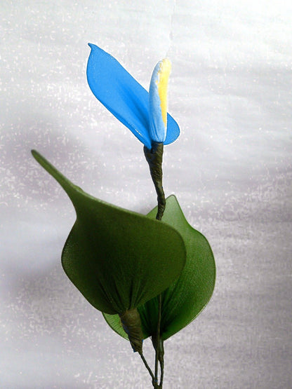 Sky Blue Yellow Anthurium Flower seeds for Planting - Vibrant Colors, Heirloom & GMO Free Seeds for Home Garden