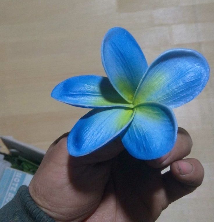 Plumeria Flower seeds for Planting - Long Bloom Season, Heirloom & GMO Free Seeds for Home Garden