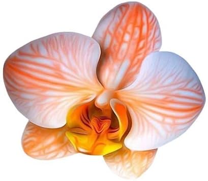 Phalaenopsis Orchid Flower seeds for Planting Colorful Display Heirloom & GMO Free Seeds for Home Garden seeds for planting