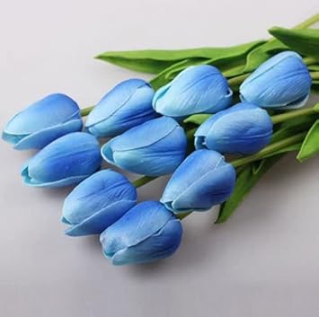 Tulip Flower Seeds Sky Blue Flower seeds for Planting Cut Flower Favorite, Heirloom & GMO Free Seeds for Home Garden vegetable and garden seeds