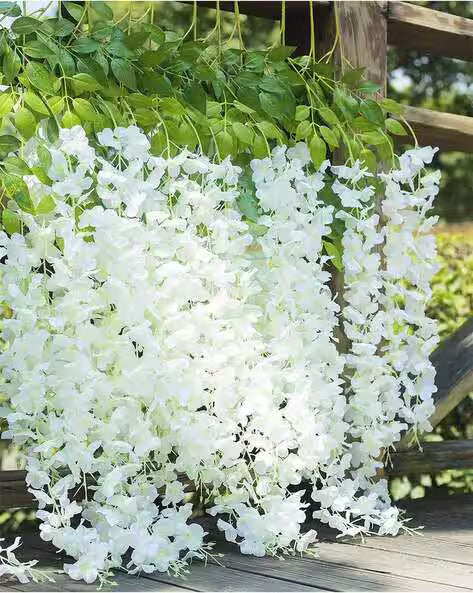 White Wisteria Flower seeds for Planting Cottage Garden Essential, Heirloom & GMO Free Seeds for Home Garden vegetable and garden seeds