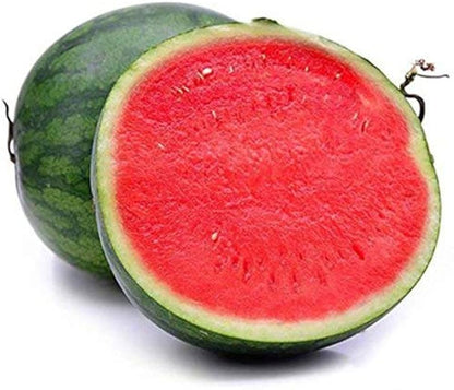 Sweet Seedless Watermelon Seeds for Planting and Delicious Treats