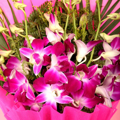 Pink Orchid Flower Seeds for Planting