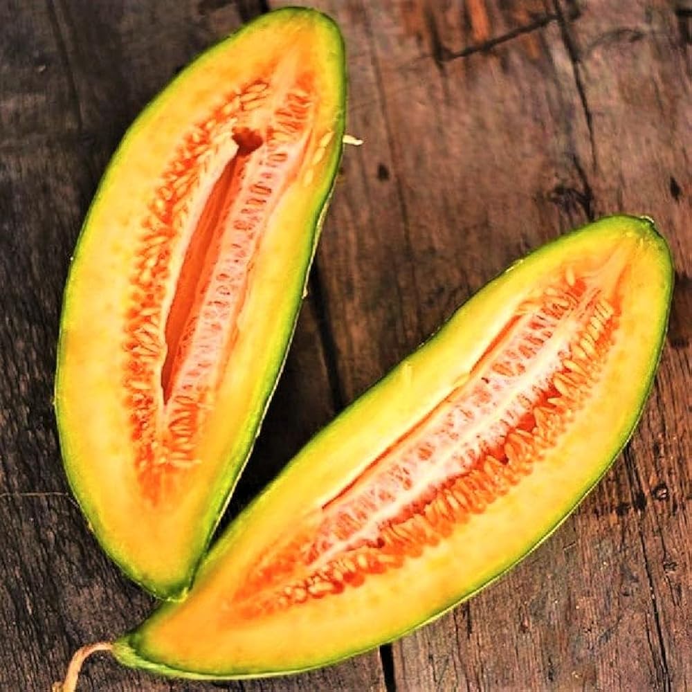 Banana Cantaloupe Melon (Cucumis melo) Fruit Seeds