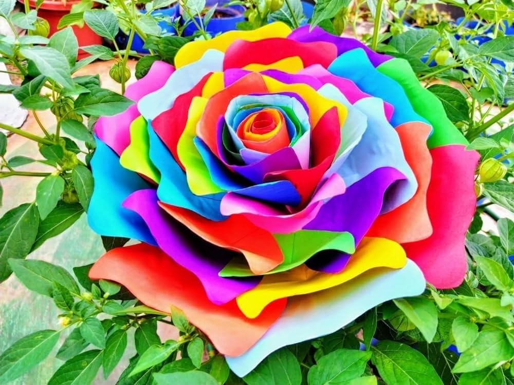 Multicolor Rose Flower seeds for Planting Cottage Garden Essential, Heirloom & GMO Free Seeds for Home Garden seeds for planting