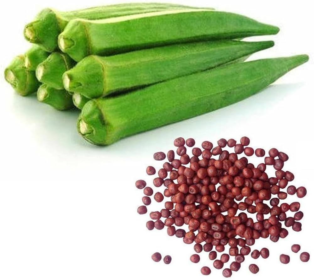 Okra Seeds for Easy Planting