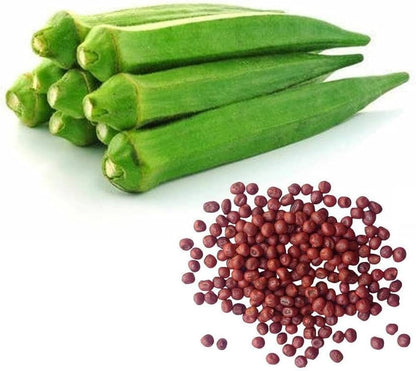 Okra Seeds for Easy Planting