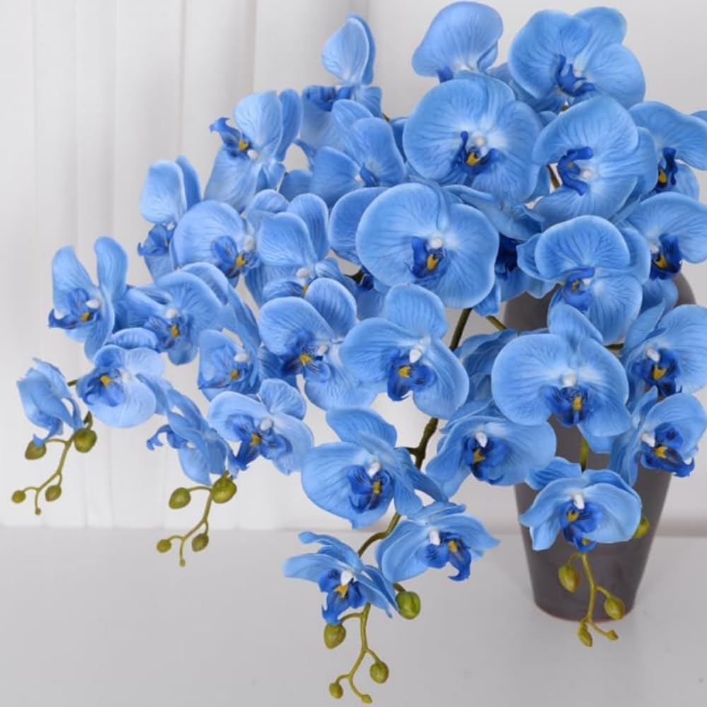 High quality Sky Blue Orchid Flower seeds for Planting Vibrant Colors, Heirloom & GMO Free Seeds for Home Garden seeds pack