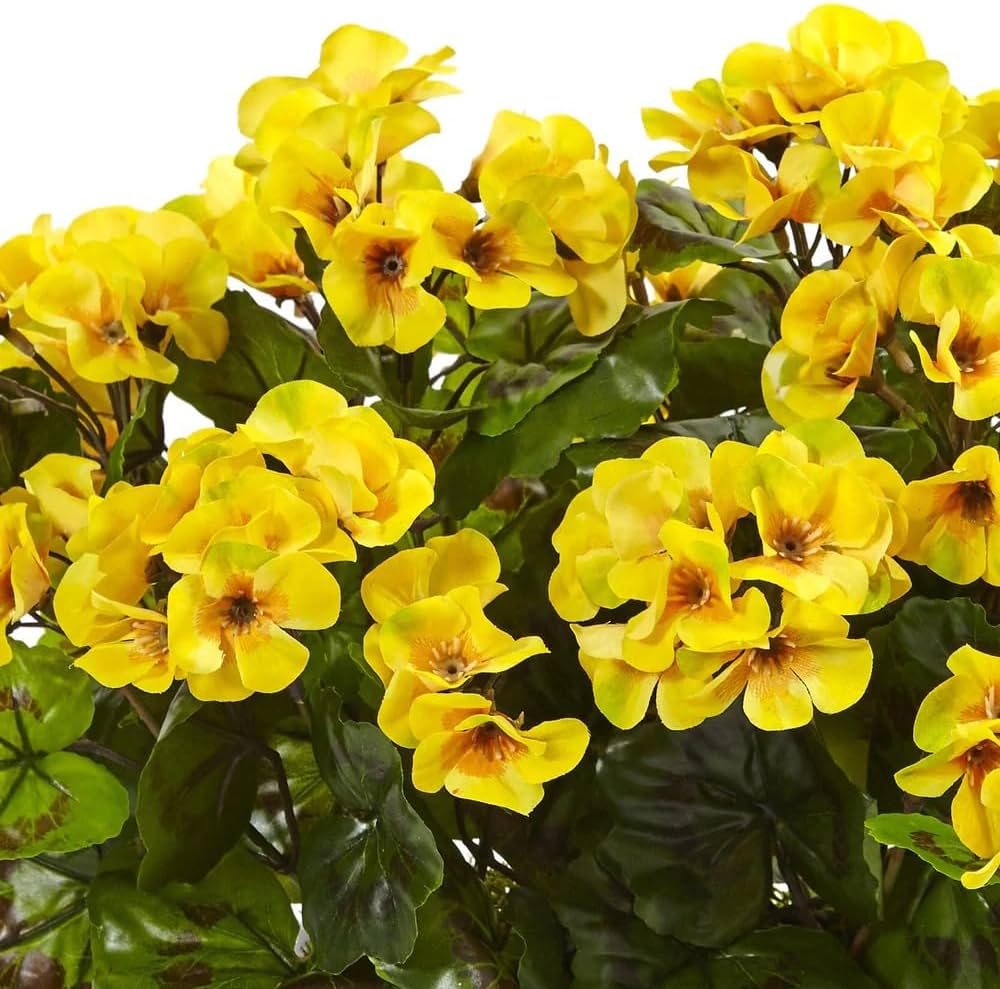 Premium Thick Yellow Geranium Flower seeds for Planting Garden Favorite, Heirloom & GMO Free Seeds for Home Garden seeds