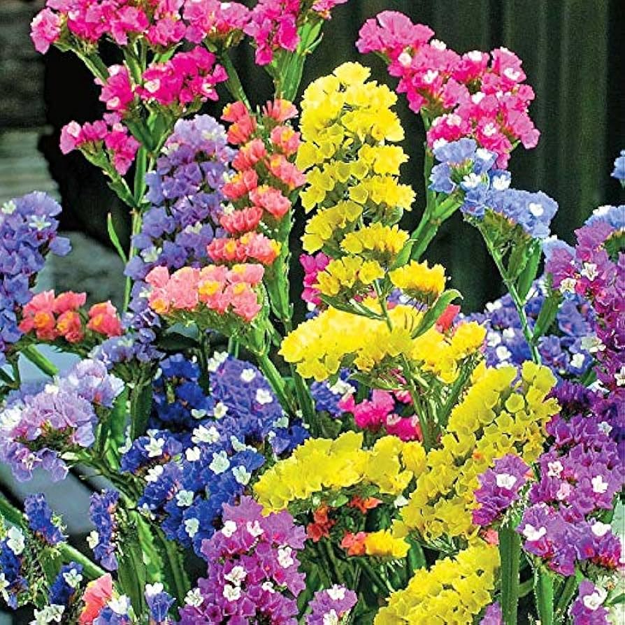 High quality Herencia Flower seeds for Planting Easy to Grow, Heirloom & GMO Free Seeds for Home Garden seeds pack