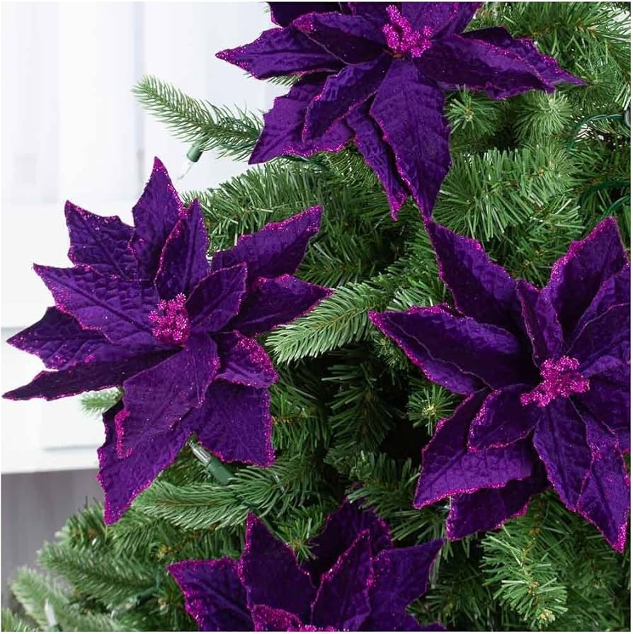 Purple Poinsettia Flower seeds for Planting Long Bloom Season, Heirloom & GMO Free Seeds for Home Garden seeds for planting