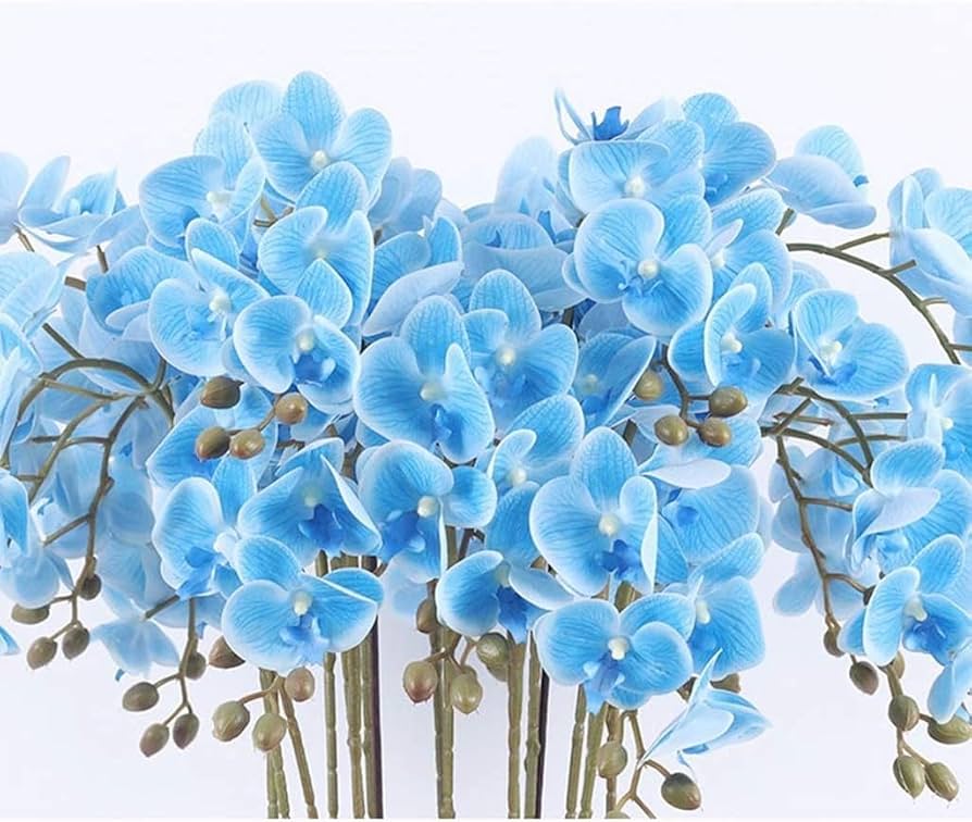 Sky Blue Orchid Flower seeds for Planting Vibrant Colors, Heirloom & GMO Free Seeds for Home Garden vegetable and garden seeds