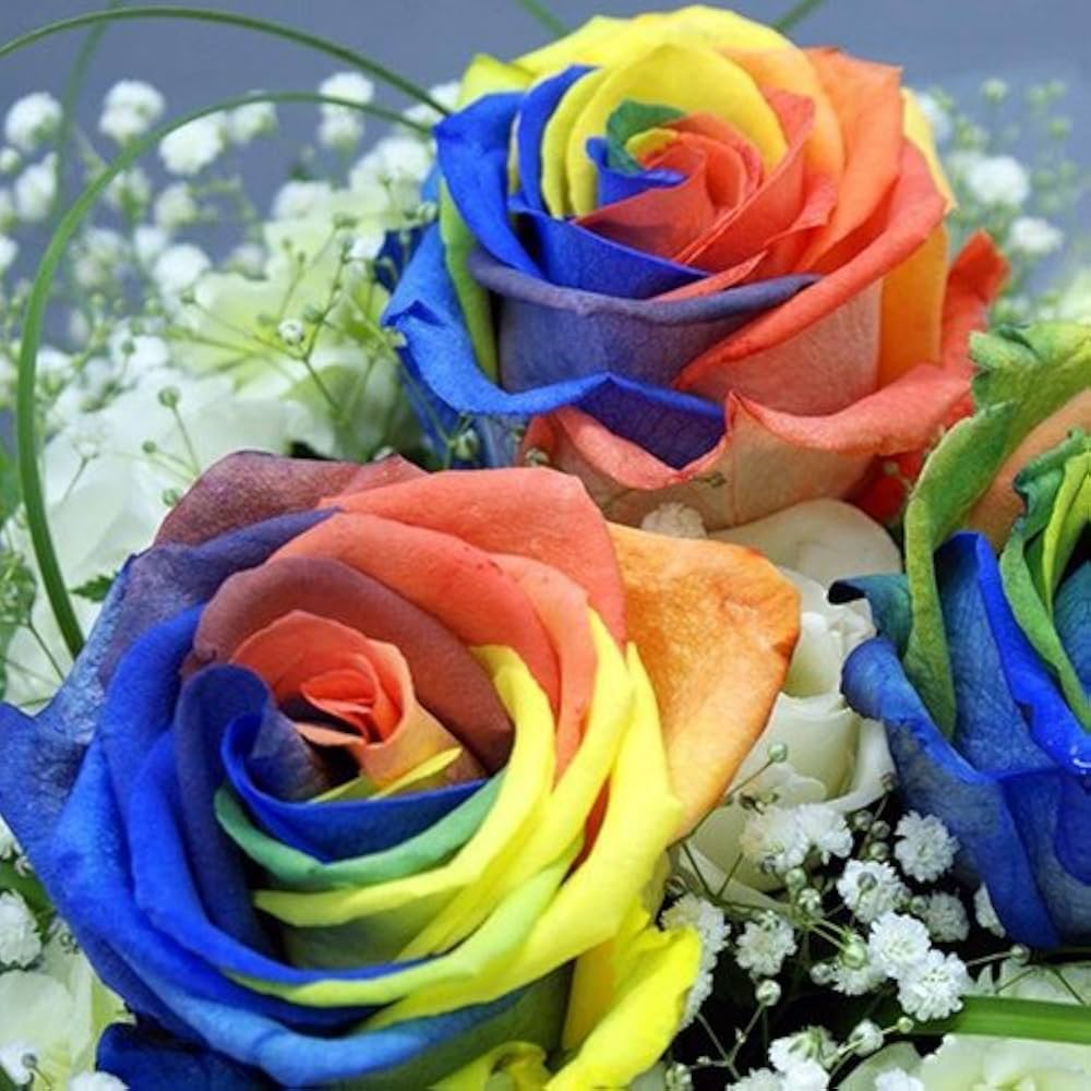 Rainbow Mixed Flower seeds for Planting Long Bloom Season, Heirloom & GMO Free Seeds for Home Garden seeds for planting
