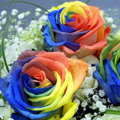 Mixed Rose Rainbow Bonsai seeds for Planting - Low Maintenance, Heirloom & GMO Free Seeds for Home Garden