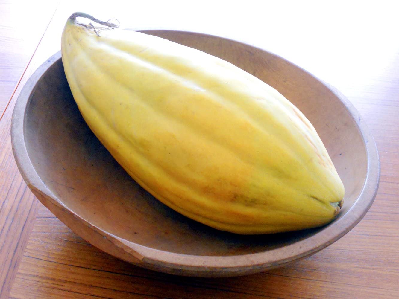 Banana Cantaloupe Melon (Cucumis melo) Fruit Seeds