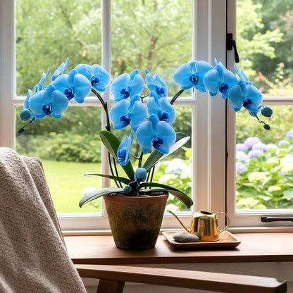 Orchid Flower seeds for Planting Sun Loving Heirloom & GMO Free Seeds for Home Garden