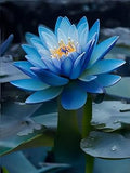 Light Blue Epiphyllum Flower seeds for Planting Sun Loving, Heirloom & GMO Free Seeds for Home Garden seeds for planting