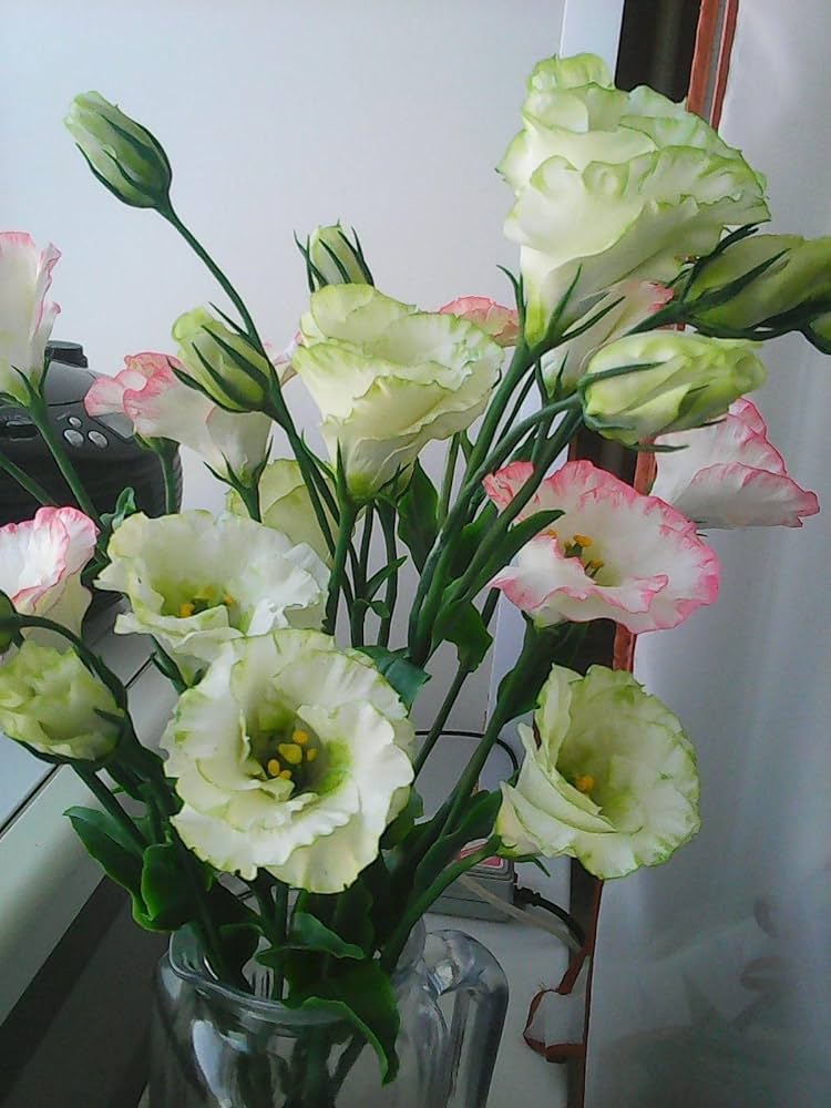 Yellow Lisianthus Flower seeds for Planting Cottage Garden Essential, Heirloom & GMO Free Seeds for Home Garden seeds for planting