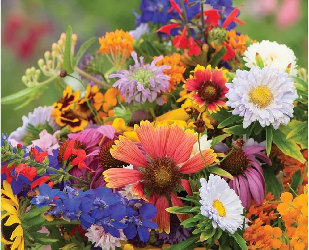 Sprout Flower seeds for Planting - Wildflower Mix, Heirloom & GMO Free Seeds for Home Garden