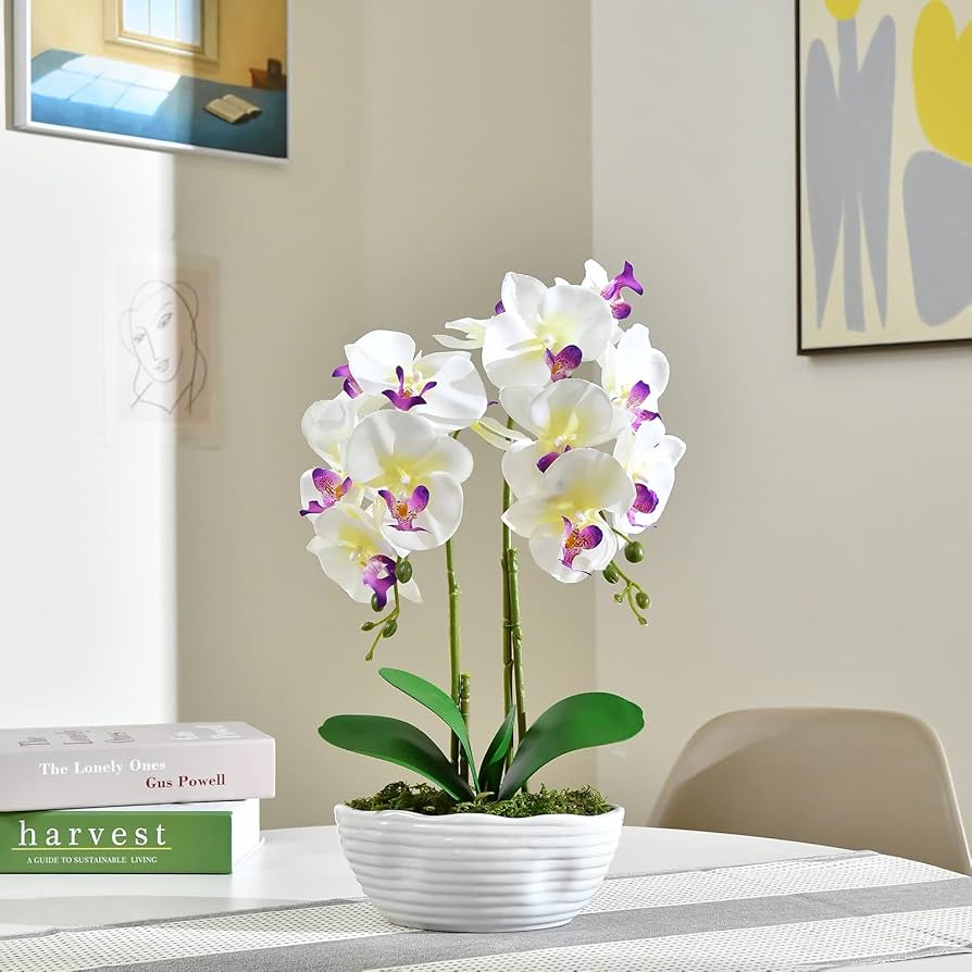 Phalaenopsis Yellow White Flower seeds for Planting Bright Blooms, Heirloom & GMO Free Seeds for Home Garden vegetable and garden seeds
