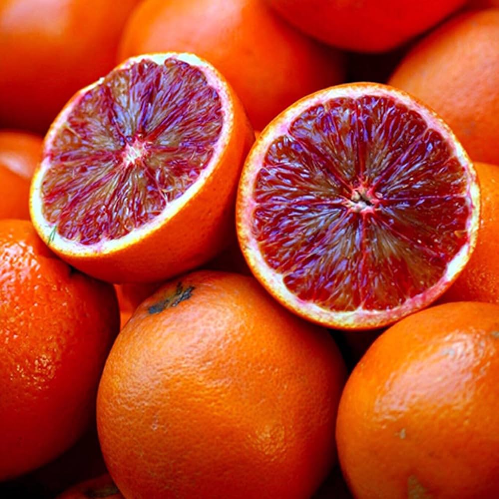 Blood Orange Seeds for Planting: Enjoy Homegrown Citrus Harvests