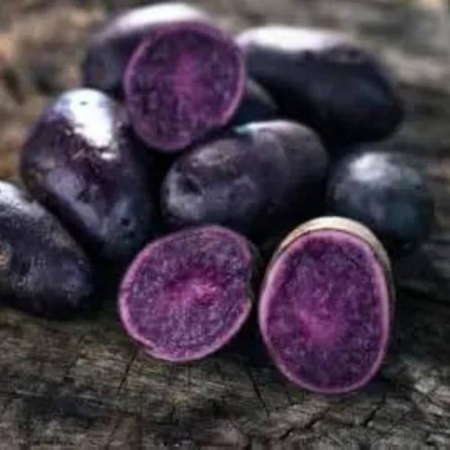 Kartoffel Vegetable Seeds for Planting