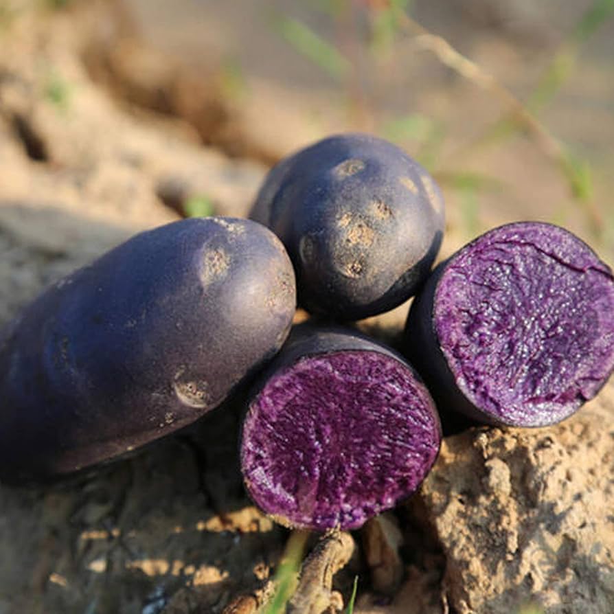 Kartoffel Vegetable Seeds For Planting