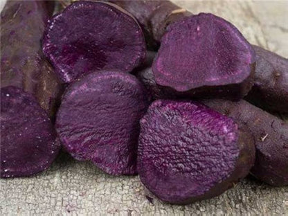 Kartoffel Vegetable Seeds For Planting