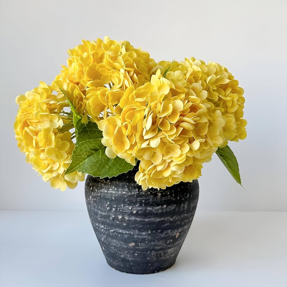 Premium Hydrangea Flower seeds for Planting Hardy Variety, Heirloom & GMO Free Seeds for Home Garden seeds