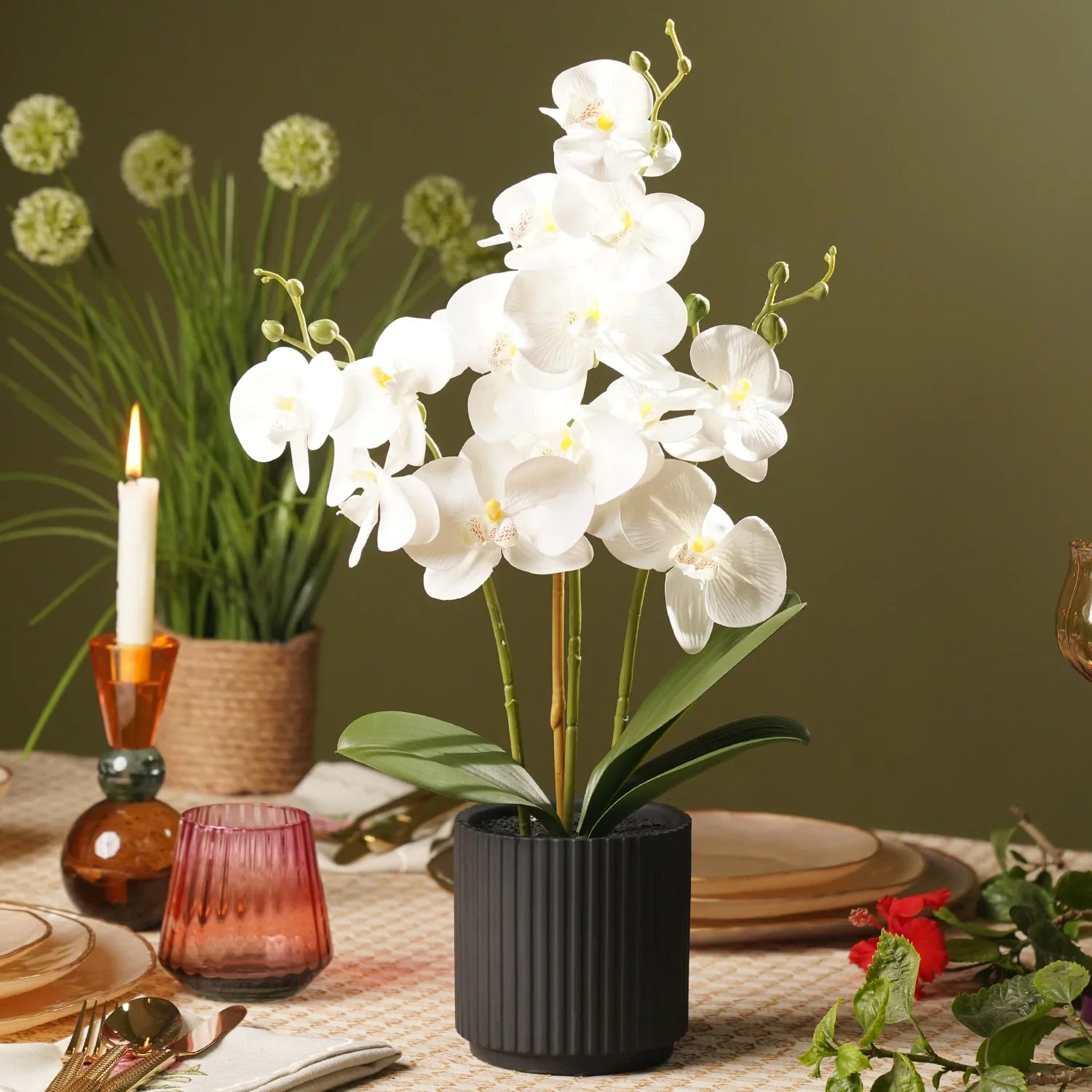 Premium Phalaenopsis Yellow White Flower seeds for Planting Bright Blooms, Heirloom & GMO Free Seeds for Home Garden seeds