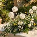 White Dandelion Flower seeds for Planting Colorful Display, Heirloom & GMO Free Seeds for Home Garden seeds for planting