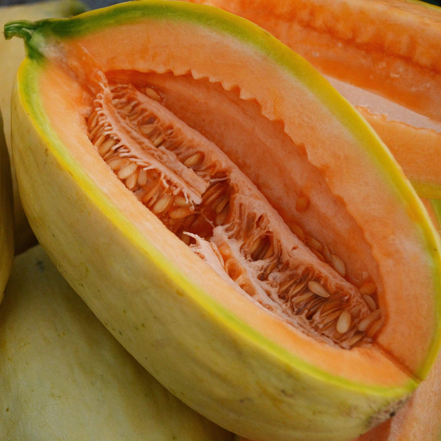 Banana Melon (Cucumis melo) Fruit Seeds