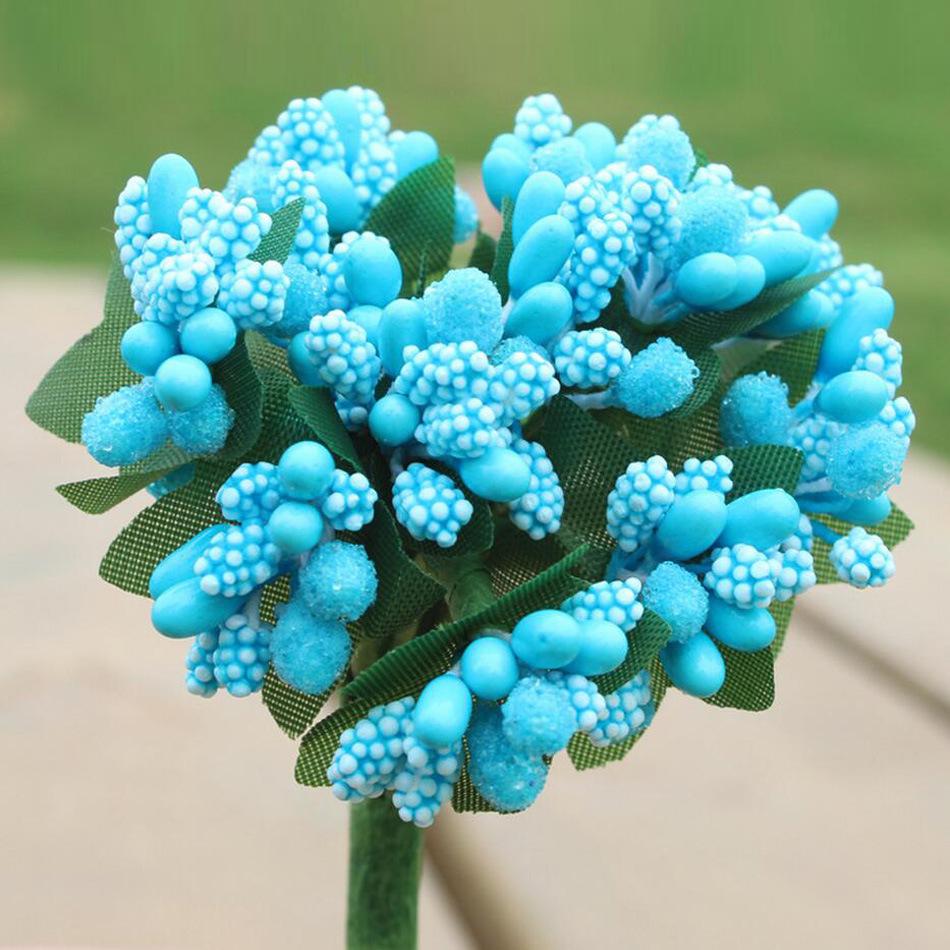 Pearl Chlorophytum Flower seeds for Planting Vibrant Colors Heirloom & GMO Free Seeds for Home Garden